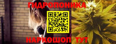 шишки Нальчик