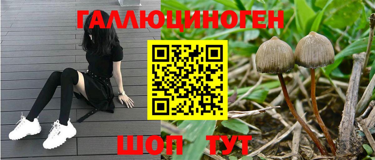 Галлюциногенные грибы GOLDEN TEACHER  Вход с VPN  закладки  Холмск 