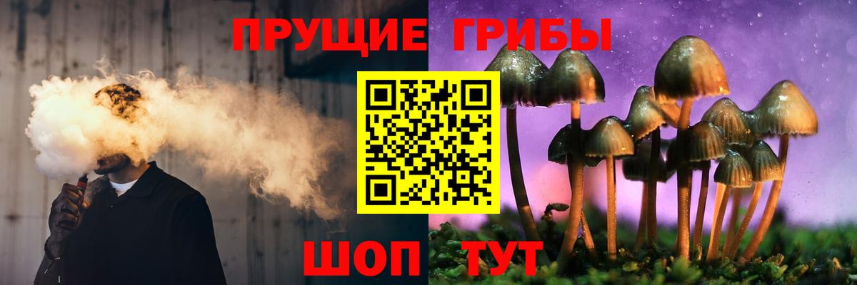 Псилоцибиновые грибы Cubensis Холмск